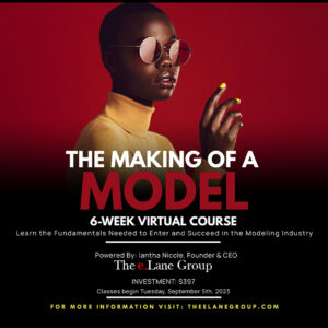 The Making of A Model